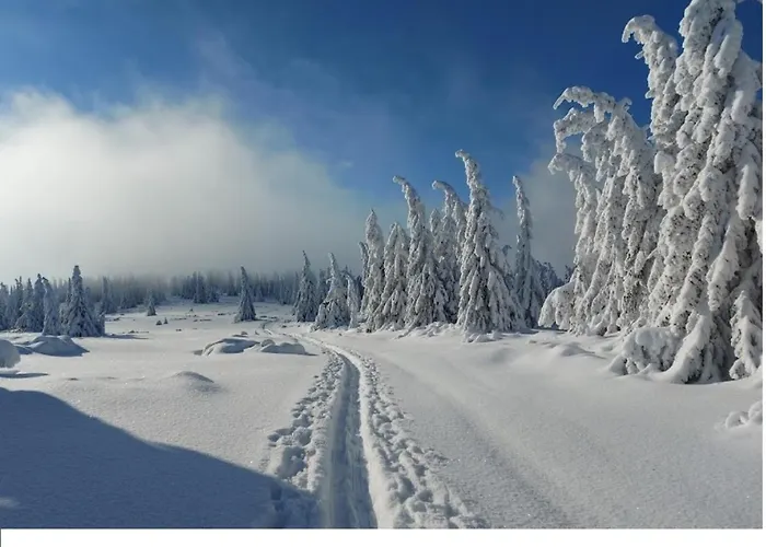 בית נופש Chata Nizna Boca